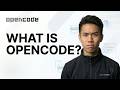 What is OpenCode AI?