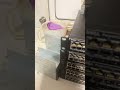 Let me tease you, dear homelab! - shorts 02