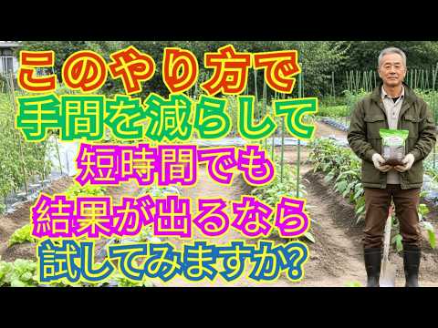 【99%の家庭菜園が知らない】その肥料の入れ方、タイミングが遅いと全部無駄になります｜土づくり・堆肥・初心者OK - 15分でできる家庭菜園