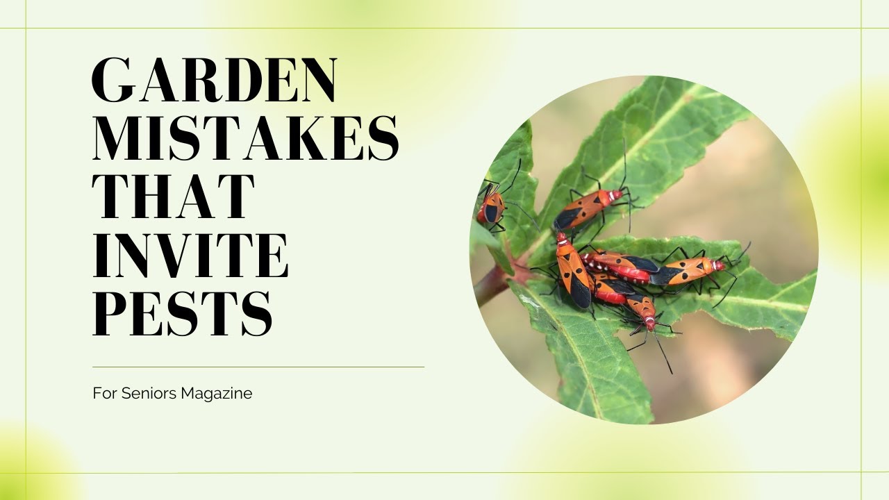 avoid-these-garden-mistakes-that-invite-pests-youtube
