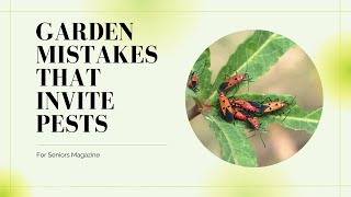 Avoid These Garden Mistakes That Invite Pests