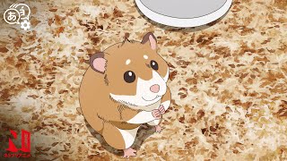 Hamster Owner Search | The Way of the Househusband: Season 2 | Clip | Netflix Anime
