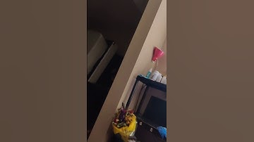 Alienware 51M Gpu fan issue?