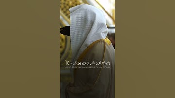 مقتطف من تلاوة فضيلة الشيخ د. #عبدالله_القرافي من صلاة الفجر الخميس ٢٣ ذو الحجة ١٤٤٦ هـ