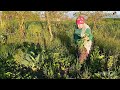 ÇOK KORKTUM 😱 BAĞ BAHÇE MARUL YEŞİL SOĞAN KÖYDE YAŞAMANIN GÜZELLİĞİ#keşfet #koyvlog #köy 