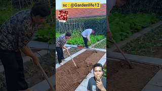 Without poetry and distance, just live your life the way you like, Record my planting life #farm