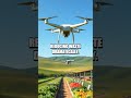 Crypto in Agriculture: Transforming Farming Practices