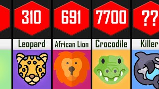 Most Powerful Bites In The Animal Kingdom
Most Powerful Bites In The Animal Kingdom
If youre new, Subscribe Here: https://goo.gl/U61s7d ❤❤❤
Leave a like if you enjoyed and tell me what you think in the comments!
Over the course of these three seasons bite force faced off against blacksmith bombshell bronco end game huge hypershock twice icewave lock-jaw minotaur mohawk monsoon rotator the ringmaster tombstone uppercut whiplash twice witch doctor twice wrecks and yeti...
Its bite force has never been directly measured but the estimates show these astounding figures.
Time ran out and despite bite forces control for much of the match the judges awarded chomp the victory ending bite forces reign as champion and eliminating it from the competition...
Animals with strongest bite force | most powerful bites in animal kingdom | biteforce comparison.
Animals bite force comparison | most powerful bites in the world | bite force comparison.
Bite force vs the ringmaster one of the highlighted fights from season 2s round of 32.
Chomp vs bite force - battle bots abc season 2 - full fight highlights.
Dogs bite force comparison | top 30 dogs with strongest bite force.
Piranha bite force | national geographic ...
Piranha bite force | national geographic.
Our best videos arent out yet! Subscribe so you wont miss a thing! https://goo.gl/U61s7d
► Animals Surprisingly More Deadly Than Sharks: https://youtu.be/NSp8ZXJwOBk
► Animals that Could Defeat a Crocodile: https://youtu.be/S7ub4EzDlGQ
► Animals That Can Kill a Lion Easily: https://youtu.be/-fcGW6-Rz0g
► Dog Breeds That Are Stronger than Pitbull: https://youtu.be/0AbnUG-5K_g
► Biggest Dog Breeds in the World / Abnormally Large Dogs : https://youtu.be/UpY1mfBJ008
► Most Muscular Animals In The World: https://youtu.be/yR_GkYS9VL4
► Most Dangerous Sharks To Humans : https://youtu.be/gen0co0Qpno
► Animals Surprisingly More Deadly Than Sharks: https://youtu.be/NSp8ZXJwOBk
►These 5 Dog Breeds can Defeat Wolves easily : https://youtu.be/bmGDHl5K_m8
Amazed 5s is a place for explorers.
Together we seek out the most fascinating and rare gems of human knowledge. We read, write and learn in the process and have fun. Every day you will get a new video about most interesting and fascinating things in the world. We speak about everything and everybody. You will leave Amazed 5s smarter.
Crazy about learning something new ? Subscribe to Amazed 5s and you will be the smartest people at the party!
Dont Forget To Subscribe: https://goo.gl/U61s7d
DISCLAIMER:
Under Section 107 of the Copyright Act 1976, allowance is made for fair use for purposes such as criticism, comment, news reporting, teaching, scholarship, and research. Fair use is a use permitted by copyright statute that might otherwise be infringing.
The materials are used for illustrative and exemplification reasons, also quoting in order to recombine elements to make a new work.
If you are an uploader and have any questions, or want your video removed from here, please contact me first.
❤❤ Thanks For You Watching! ❤❤ Most Powerful Bites In The Animal Kingdom