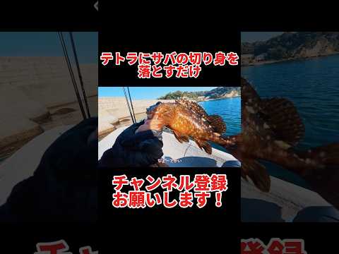 これが穴釣り #釣り