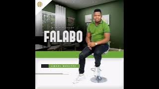 falabo album coming soon ( umuzi wakithi