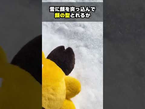 積もった雪で顔の型、取る。 #Shorts