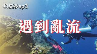 【科莫多ep3】子彈流好好玩，但亂流不好玩!!!
