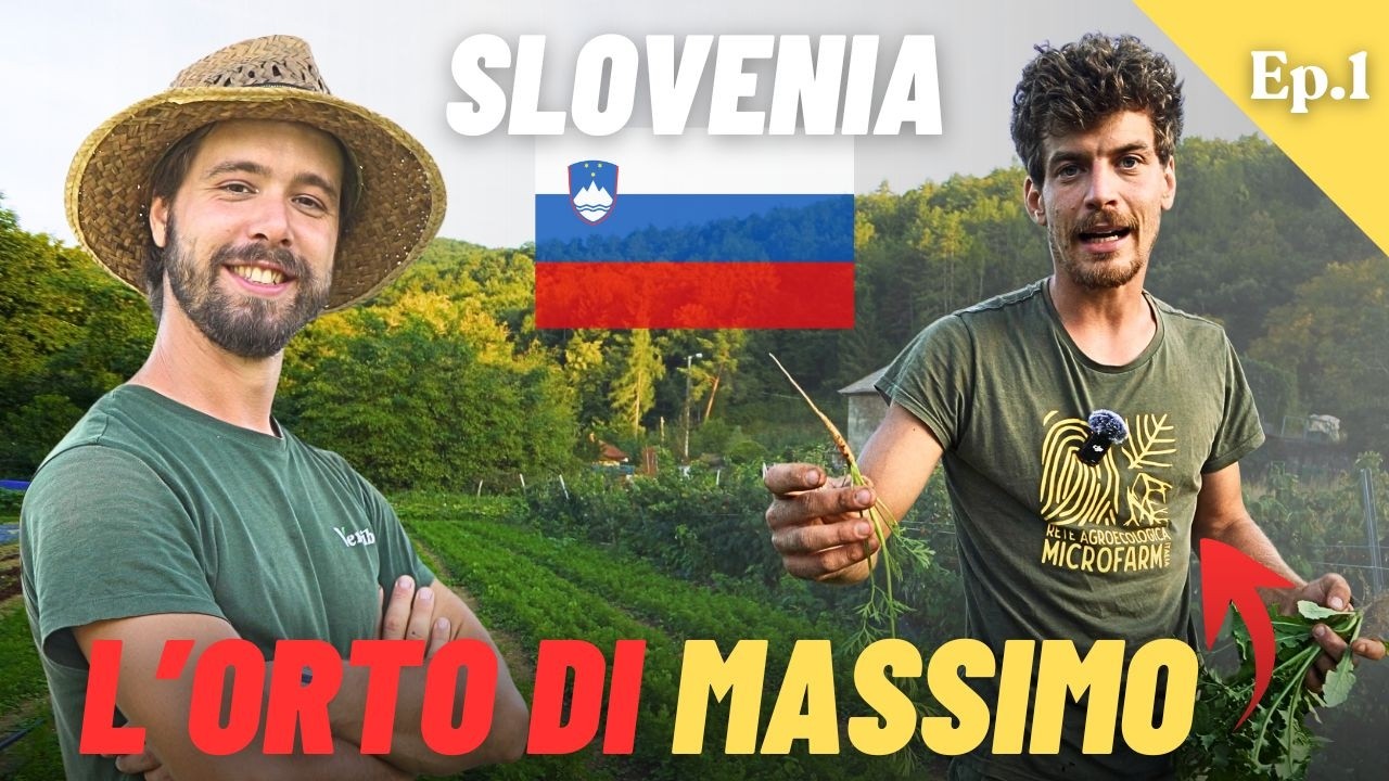 Un'Agricoltura Sostenibile per Davvero con Massimo Raimondi | Vacanze Agricole ep.1