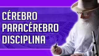 Waldo Vieira - Conscienciês, Cérebro, Paracérebro, Serenões, Autorganização E Disciplina
