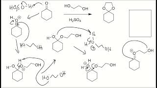 Mechanism (Cyclic Acetal)