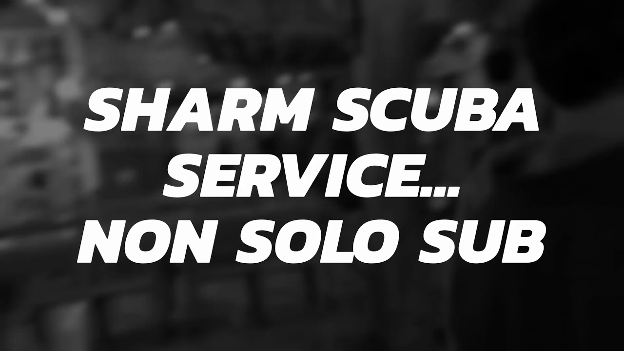 SHARM scuba SERVICE...
non solo sub