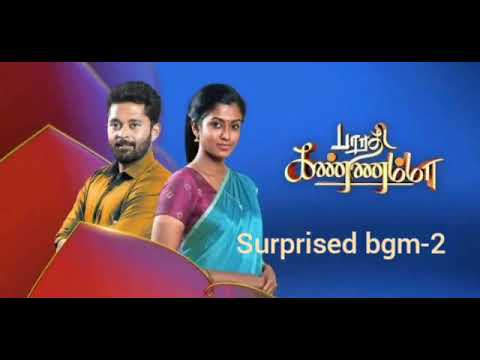 Bharathi kannamma serial bgm