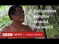 Indigenous peoples around the world global news podcast  bbc world service