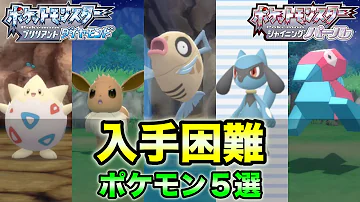 ダイパ タツベイ 出現 ダイパ タツベイ 出現