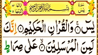 Surah Yaseen Yaseen Yasin Al Yaseen   Surah  Yaseenal Siraaj Tv 