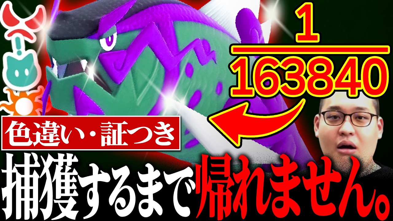 【超鬼畜】色違い×証持ちのバスラオ♂を捕まえるまで帰れません！！！！！！！