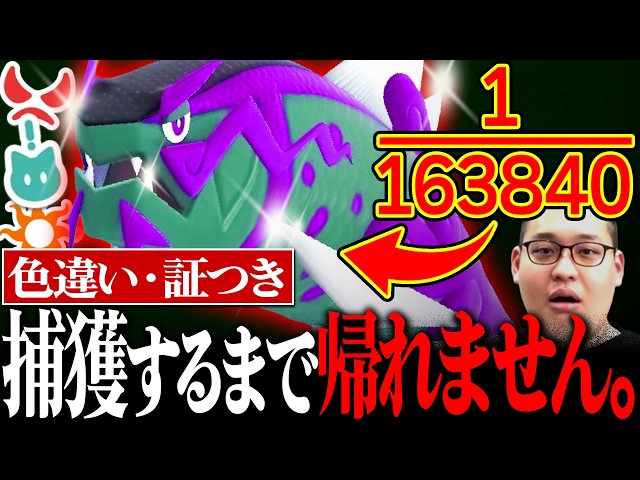 【超鬼畜】色違い×証持ちのバスラオ♂を捕まえるまで帰れません！！！！！！！