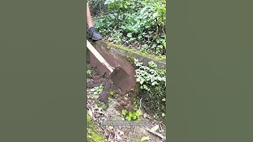 Clearing Moss and Weeds from a Drainage Channel