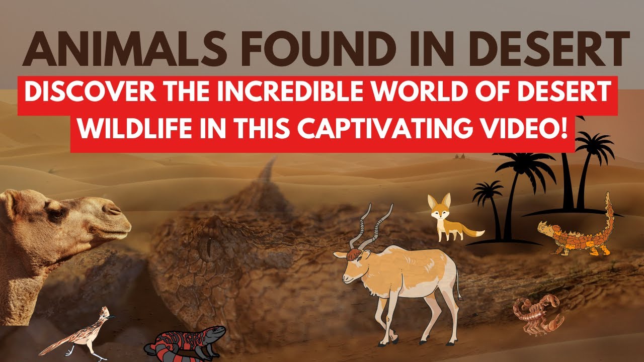 Amazing Desert Animals: How They Survive in Extreme Conditions - YouTube
