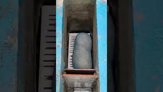 bikin sekat chamber filter kolam bareng otter, #otter #otterindonesia #cici #dola #ideas