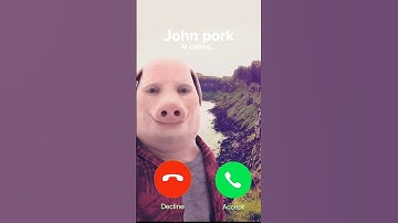 Thumbnail of John Pork Ringtone
