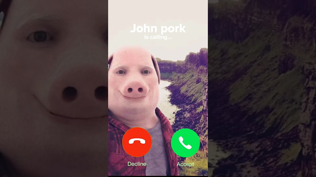 john pork calling ringtone｜Búsqueda de TikTok