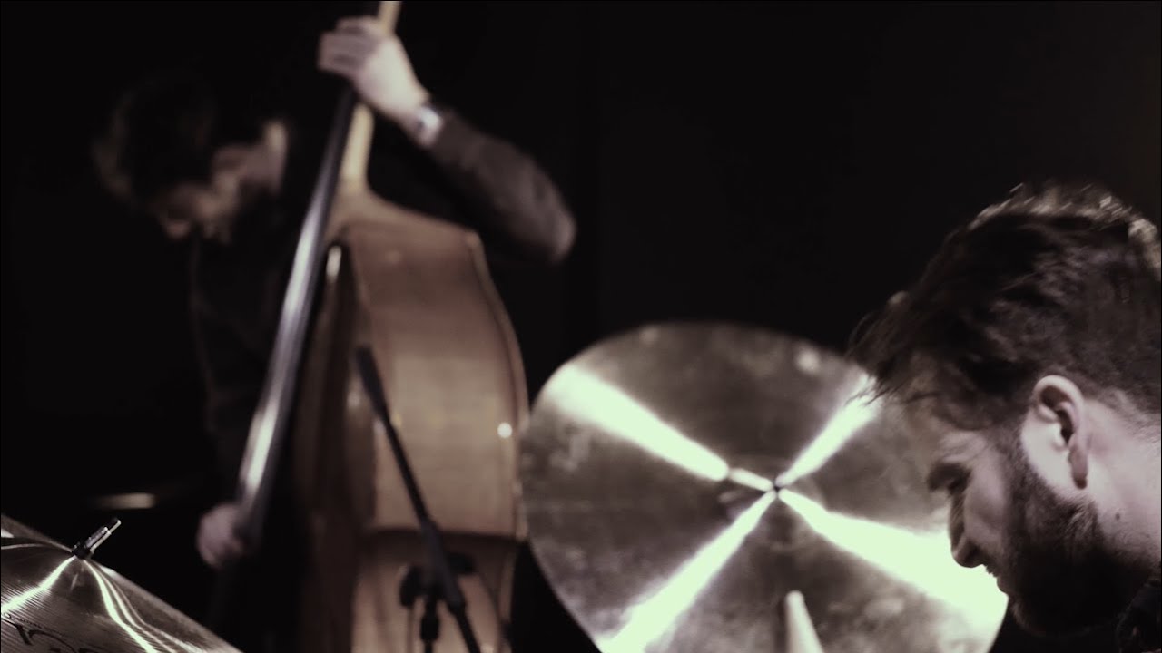 Rok Zalokar Trio - Village Blabbermouth (Official Video)