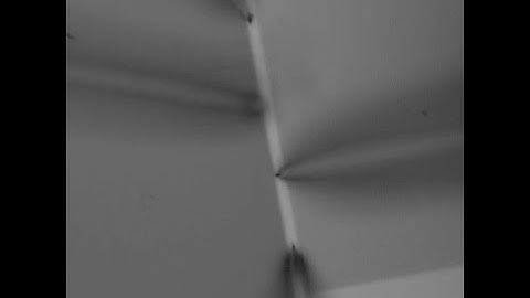 Four Independently Controlled Probes