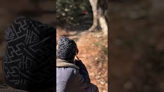 Air gun pellet test hitting a bottle cap. #outdoors #airpistols #hunting #accuracy #safeshooting