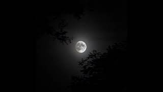 the moon - glen hansard&marketa irgova | slowed&reverb