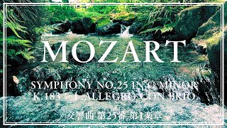 Mozart】Symphony No.25 in G minor K.183：Ⅰ.Allegro con brio
