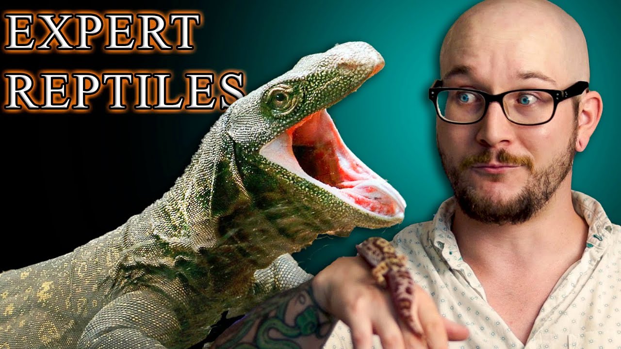 Top 5 Best Reptiles For EXPERT Keepers - YouTube