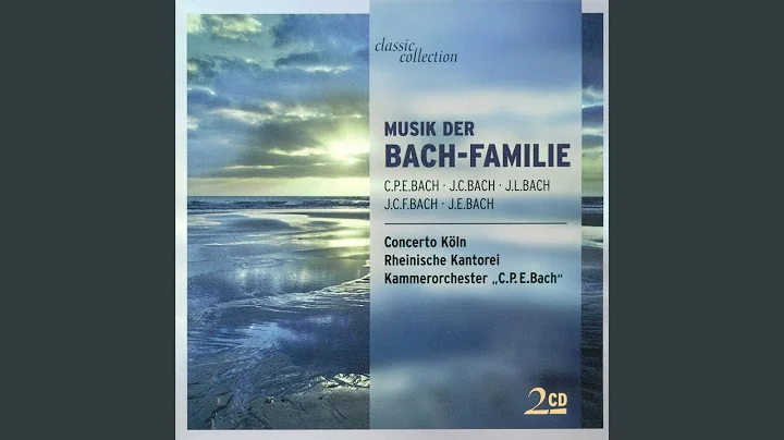 Flute Concerto in D Minor, Wq. 22, H. 426: I. Allegro