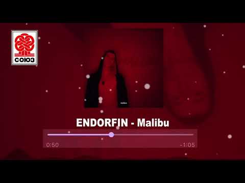 ENDORFIN - Malibu (2021)