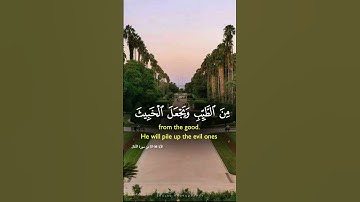 تلاوة مباركة #اكسبلور #المصحف #راحة_نفسية #القرآن_الكريم #الرحمن #تلاوة_خاشعة