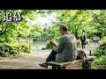 追慕 八神純子 / 1978