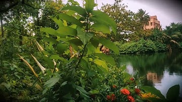 rabindra bharati jhilpar ❣️❣️#rbu #rabindrabharatiuniversity #youtubeshorts #youtube #shorts