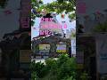 #고래문화마을 #장생포 #울산 Whale Culture Village