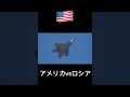 アメリカの戦闘機とロシアの戦闘機