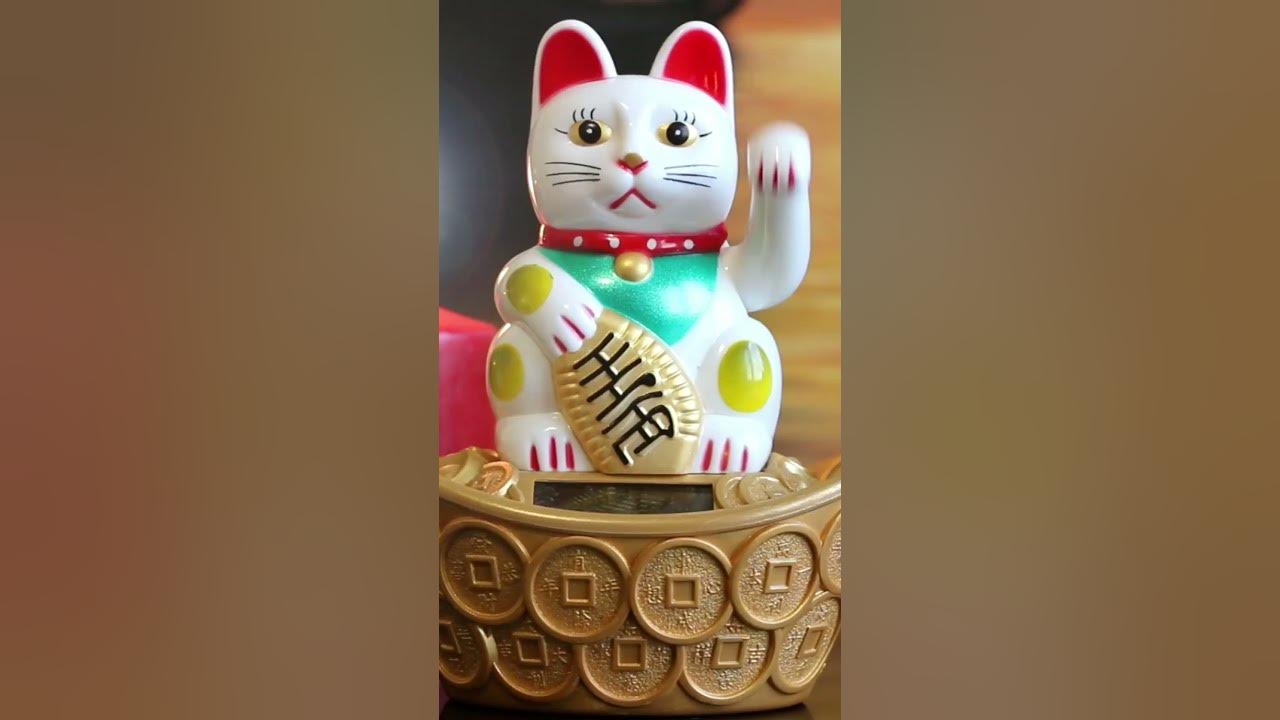 Lucky cat in japan | Maneki Neko cat #shorts
