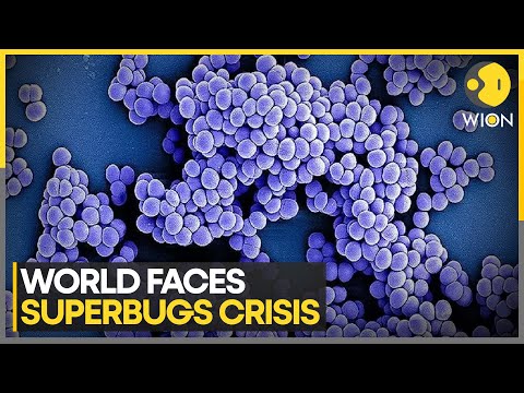 Antimicrobial-resistant superbugs set