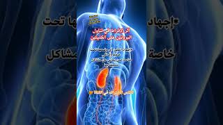 مخاطر الإفراط في تناول البروتين على الكليتين?? Doctor_Amany_Abu_Jazar subscribe_me shorts