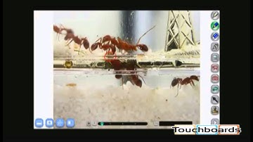 Elmo CRA-1 Wireless Tablet Demo