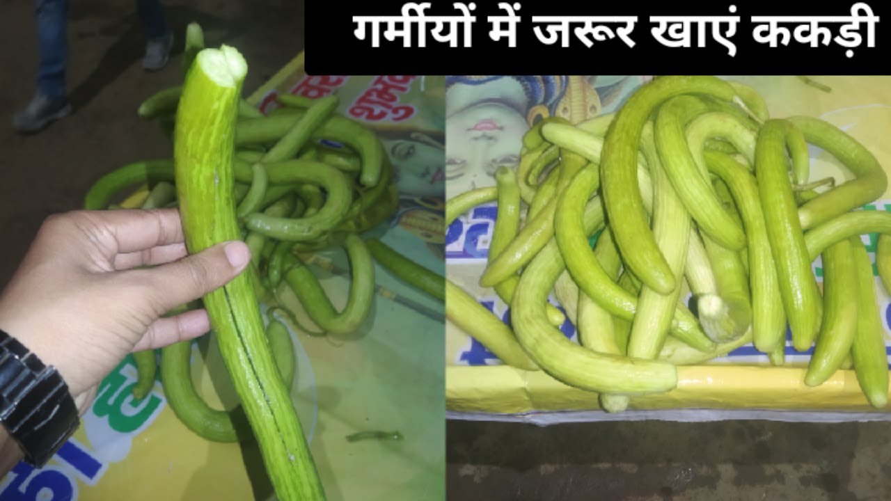 गर्मीयों में जरूर खाएं ककड़ी Kakadi Summer Fruit/Vegetable By