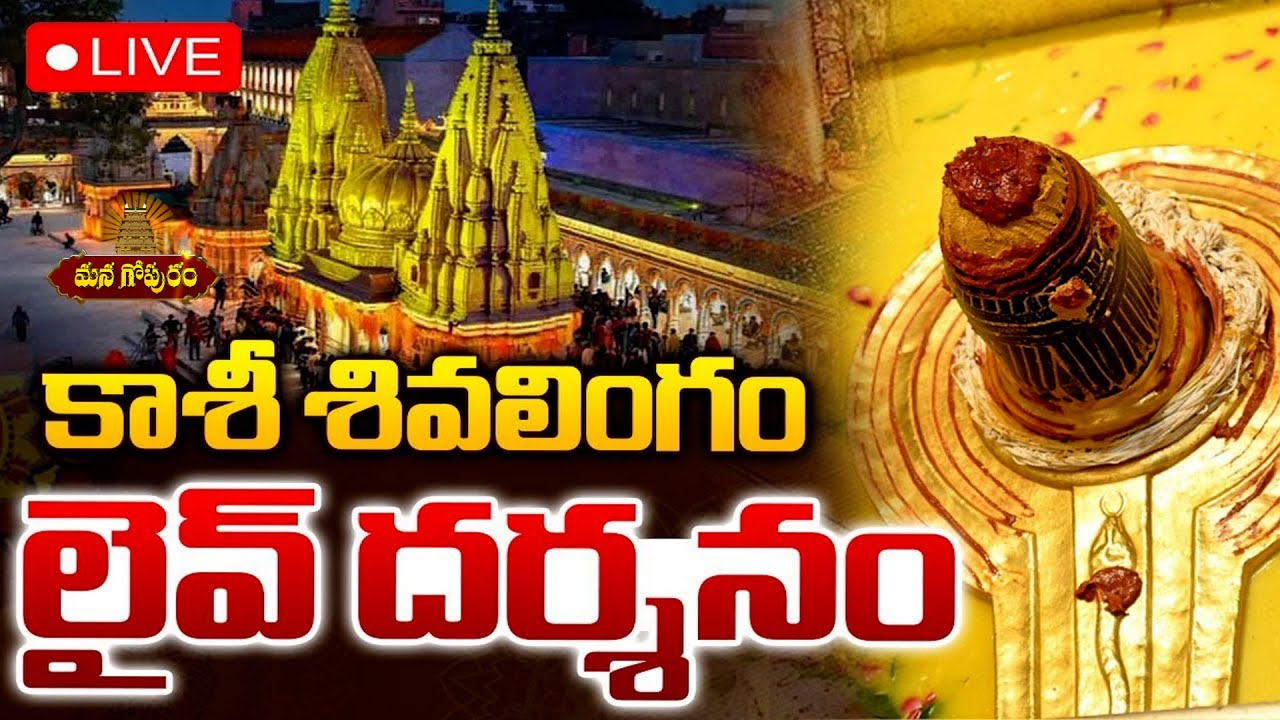 🔴LIVE : బుధవారం కాశీ శివలింగం దర్శనం |Kashi Shivalingam Darsham |Kashi Vishwanath Temple